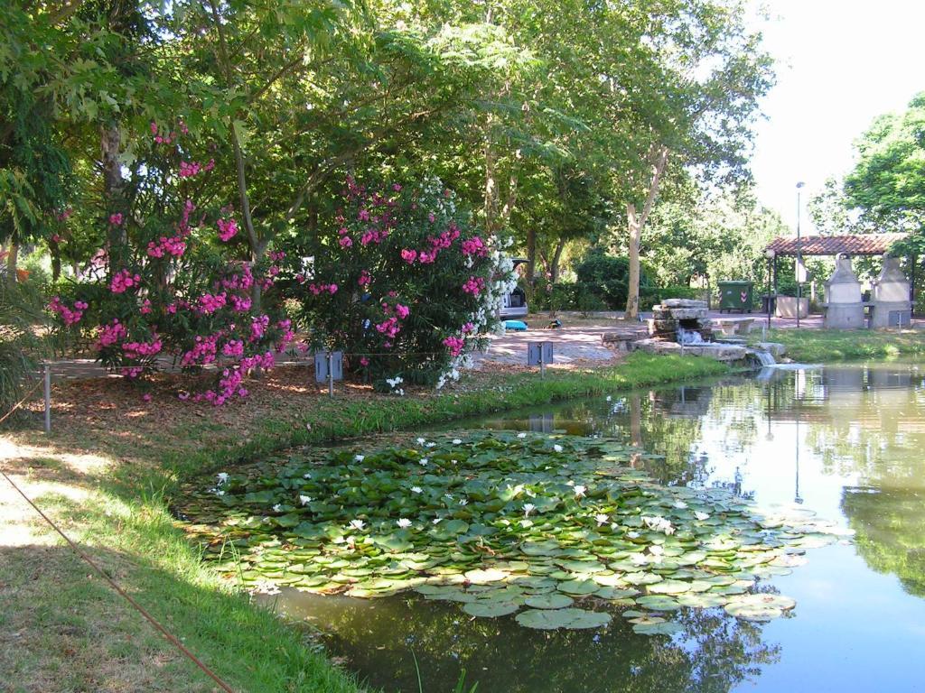 Camping Villaggio Italgest SantʼArcangelo Dış mekan fotoğraf