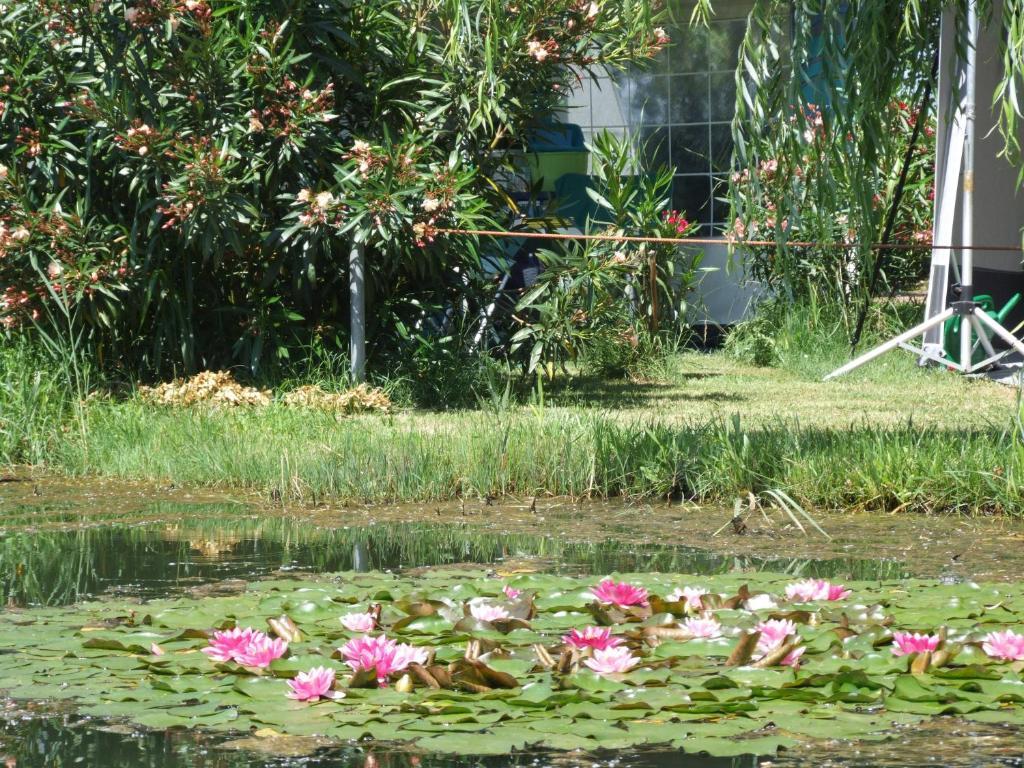 Camping Villaggio Italgest SantʼArcangelo Dış mekan fotoğraf